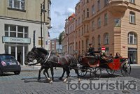 Carriage rides