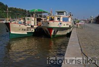 Sightseeing boat cruises