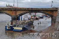 Sightseeing boat cruises