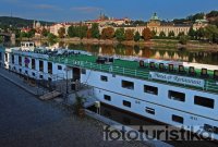 Sightseeing boat cruises